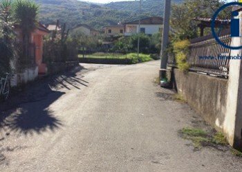 Foto 4 - Terreno edificabile LOCALITA' STRADELLE
 
1, Alvignano - foto 4