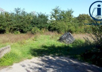 Foto 5 - Terreno edificabile LOCALITA' STRADELLE
 
1, Alvignano - foto 5