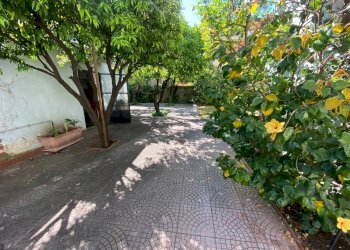 Foto 56 - Villa Via Donizetti
14, San Nicola la Strada - foto 56