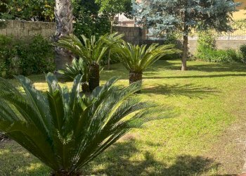 Foto 58 - Villa Via Donizetti
14, San Nicola la Strada - foto 58