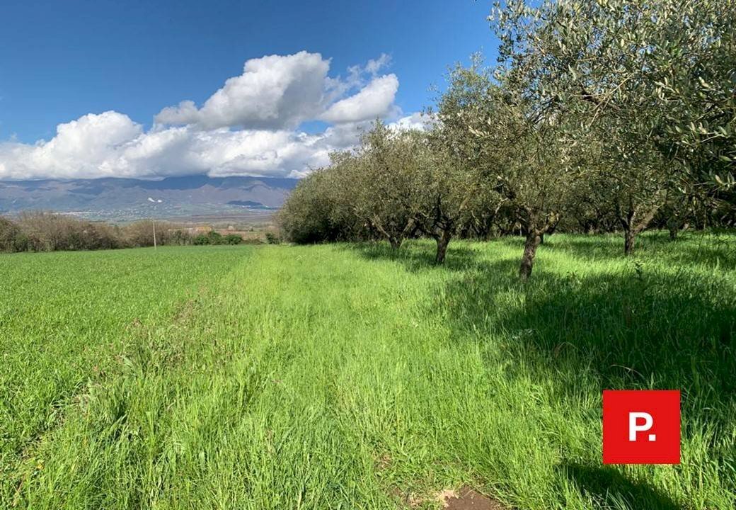 Foto 1 - Agricultural land VIA CACCIAPUGLI, Alvignano - photo 1
