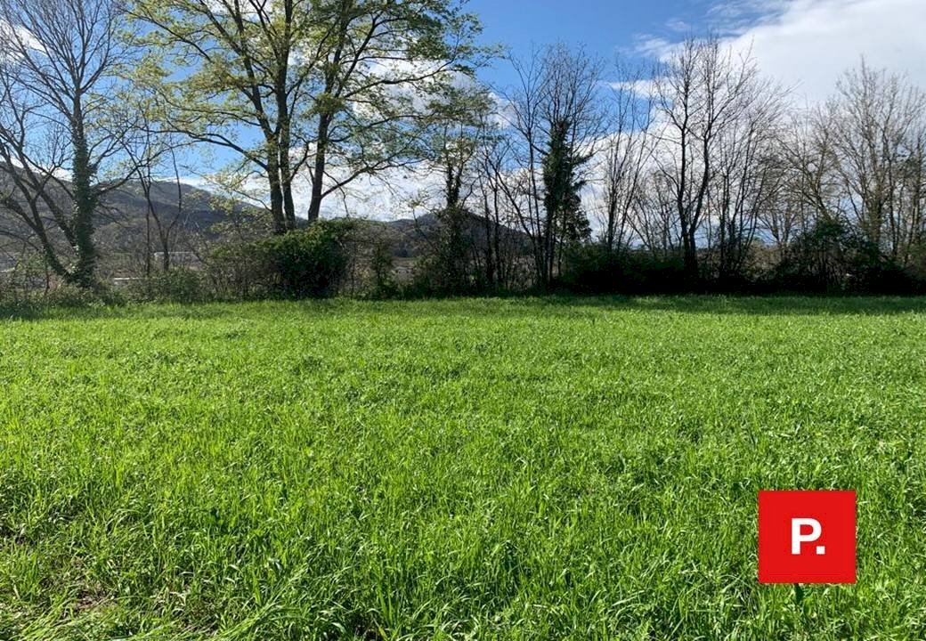 Foto 3 - Agricultural land VIA CACCIAPUGLI, Alvignano - photo 3