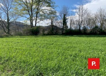 Foto 3 - Agricultural land VIA CACCIAPUGLI, Alvignano - photo 3