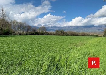 Foto 5 - Agricultural land VIA CACCIAPUGLI, Alvignano - photo 5