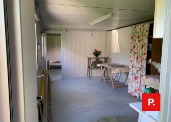 Foto 7 - Agricultural land VIA CACCIAPUGLI, Alvignano - photo 7