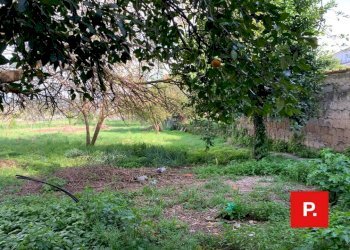 Foto 17 - Casa indipendente CORSO UMBERTO I, Alvignano - foto 17