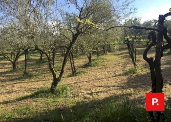 Foto 30 - Villa via termine, Caserta - foto 30