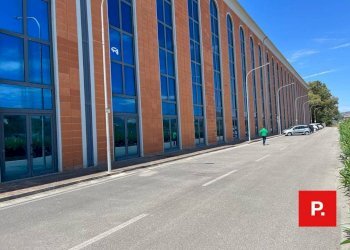 Foto 2 - Ufficio viale delle industrie, Caserta - foto 2