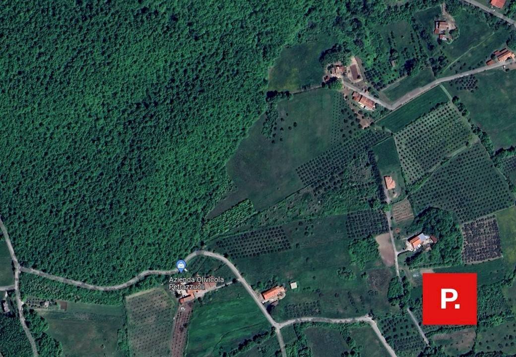 Foto 1 - Terreno edificabile VIA SCOCCILLI, Ruviano - foto 1