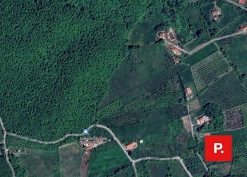 Foto 1 - Terreno edificabile VIA SCOCCILLI, Ruviano - foto 1