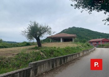 Foto 3 - Casa indipendente via Trivio, Castel Morrone - foto 3