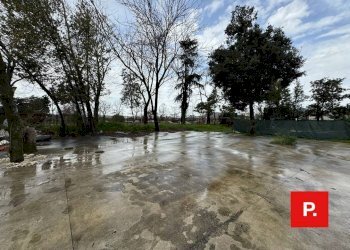 Foto 10 - Locale Commerciale viale Carlo III, Caserta - foto 10