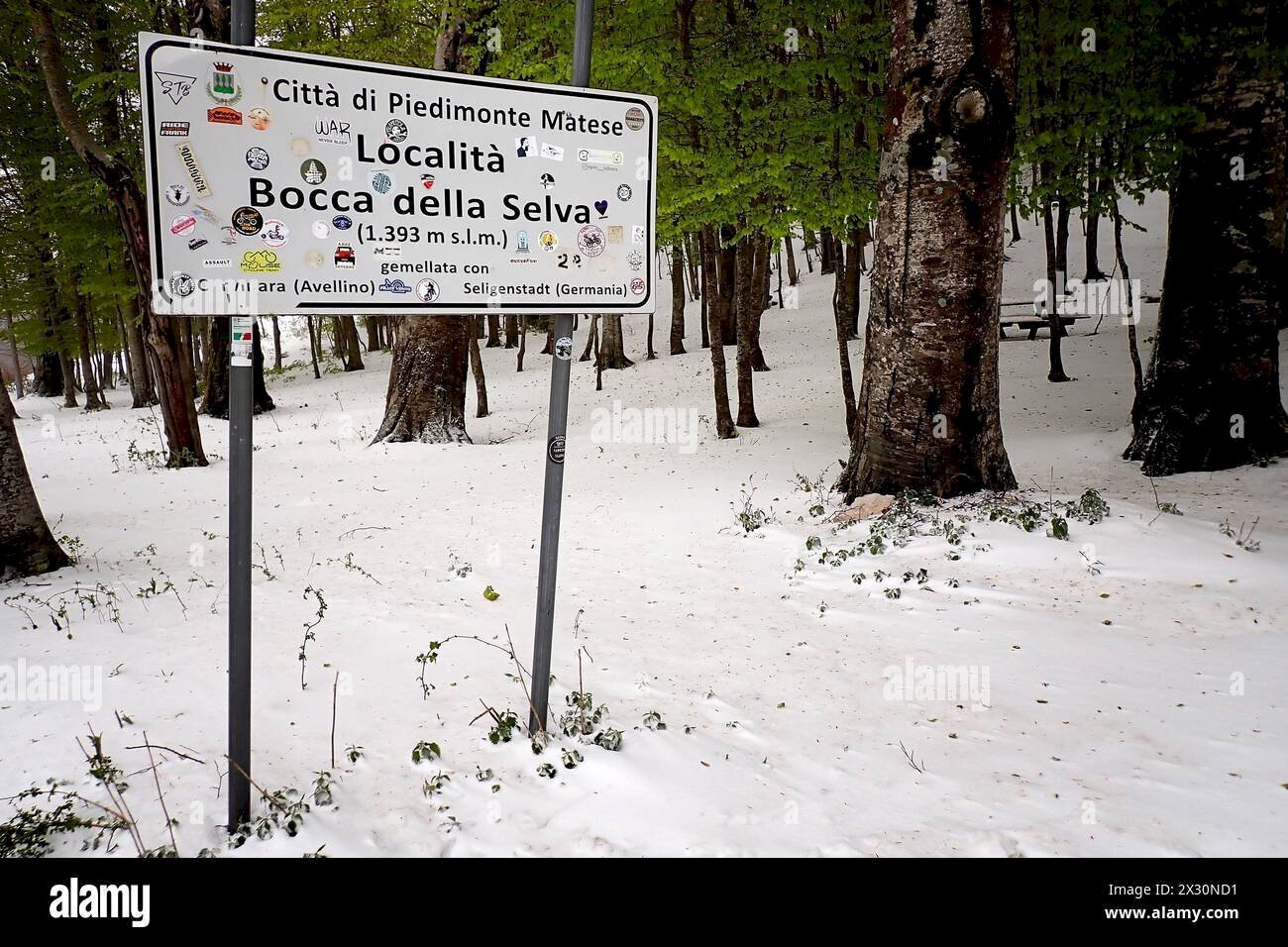 Foto 3 - Four-room apartment contrada bocca della selva, Cusano Mutri - photo 3