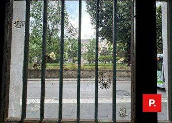 Foto 13 - Locale Commerciale via Gasparri
 
20, Caserta - foto 13