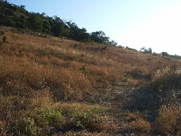 Foto 2 - Rustico Lupara - foto 2