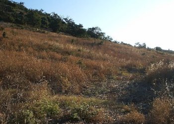 Foto 2 - Rustico Lupara - foto 2