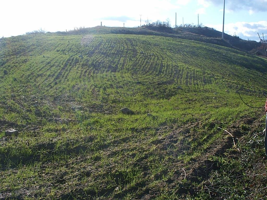 Foto 2 - Terreno edificabile Casacalenda - foto 2