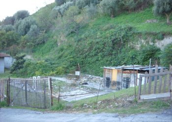 Foto 1 - Terreno agricolo Guardialfiera - foto 1