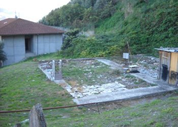 Foto 3 - Terreno agricolo Guardialfiera - foto 3