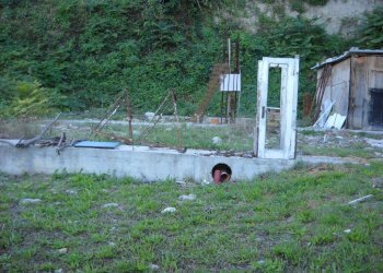 Foto 4 - Terreno agricolo Guardialfiera - foto 4