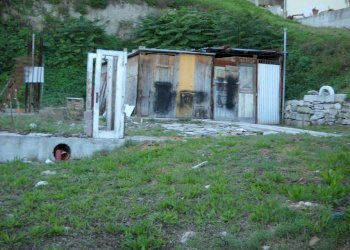 Foto 5 - Terreno agricolo Guardialfiera - foto 5