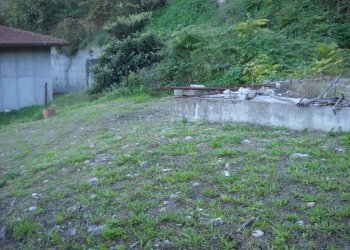 Foto 6 - Terreno agricolo Guardialfiera - foto 6