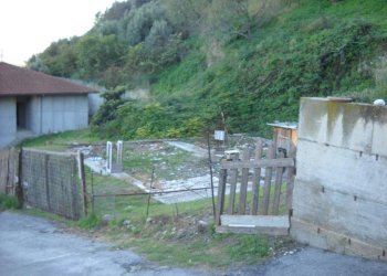 Foto 9 - Terreno agricolo Guardialfiera - foto 9