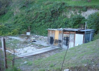 Foto 10 - Terreno agricolo Guardialfiera - foto 10