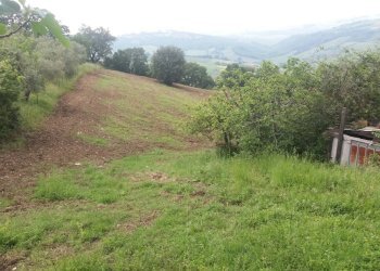 Foto 5 - Terreno agricolo Guardialfiera - foto 5