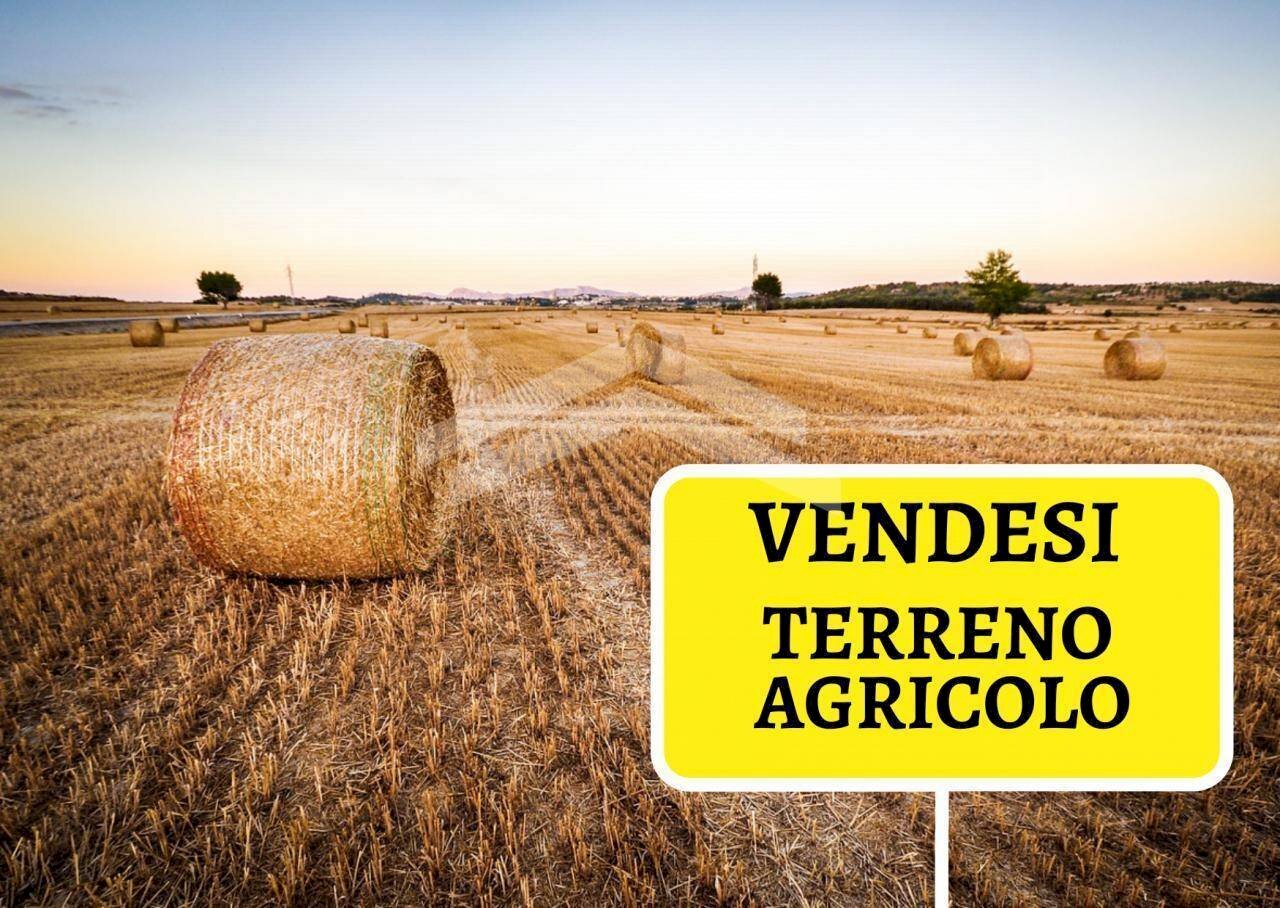 Foto 1 - Terreno agricolo C.da Colle Longo, Campobasso - foto 1