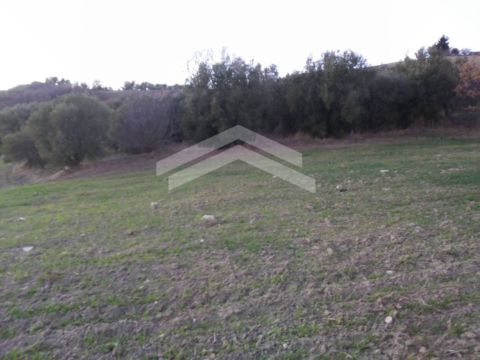 Foto 2 - Agricultural land Guardialfiera - photo 2