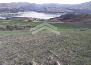 Foto 1 - Terreno agricolo Guardialfiera - foto 1