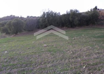 Foto 2 - Terreno agricolo Guardialfiera - foto 2