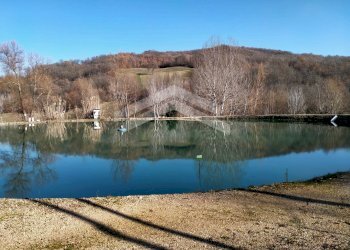 Foto 1 - Terreno agricolo C.da Santa Maria in Valle, Campodipietra - foto 1