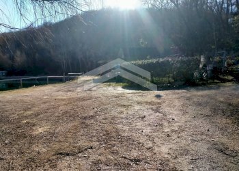 Foto 8 - Terreno agricolo C.da Santa Maria in Valle, Campodipietra - foto 8