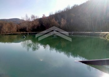 Foto 10 - Terreno agricolo C.da Santa Maria in Valle, Campodipietra - foto 10