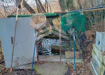 Foto 16 - Terreno agricolo C.da Santa Maria in Valle, Campodipietra - foto 16