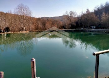 Foto 17 - Terreno agricolo C.da Santa Maria in Valle, Campodipietra - foto 17