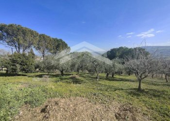 Foto 2 - Casa indipendente C.da Sant'Andrea
 
4, Ferrazzano - foto 2