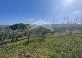 Foto 31 - Casa indipendente C.da Sant'Andrea
 
4, Ferrazzano - foto 31