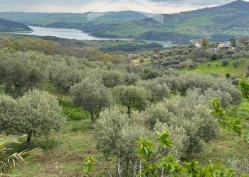 Foto 26 - Casa semi indipendente Guardialfiera - foto 14