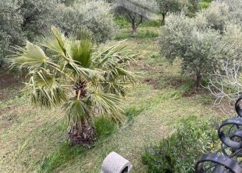 Foto 30 - Casa semi indipendente Guardialfiera - foto 15