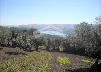 Foto 1 - Terreno edificabile fonte nuova, Guardialfiera - foto 1