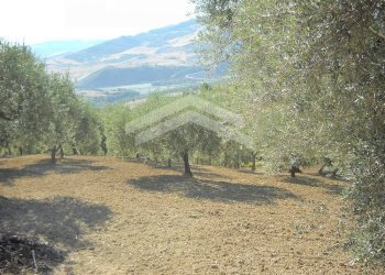 Foto 6 - Terreno edificabile fonte nuova, Guardialfiera - foto 6