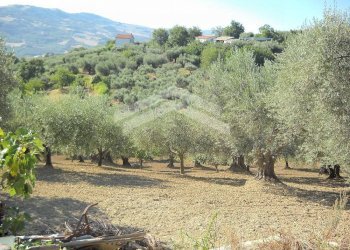 Foto 7 - Terreno edificabile fonte nuova, Guardialfiera - foto 7