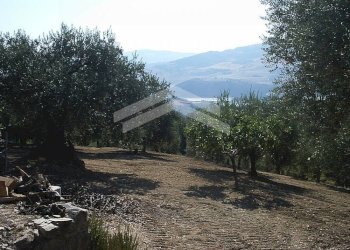 Foto 11 - Terreno edificabile fonte nuova, Guardialfiera - foto 11