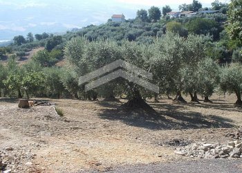 Foto 13 - Terreno edificabile fonte nuova, Guardialfiera - foto 13