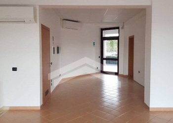 Foto 5 - Locale Commerciale Via Scardocchia, Campobasso - foto 5