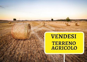 Foto 1 - Terreno agricolo Castropignano, Castropignano - foto 1