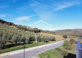 Foto 2 - Terreno agricolo Guardialfiera - foto 2